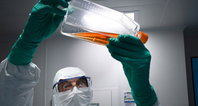 Oxford Scientists Claim Coronavirus Vaccine Successfully Produces Antibodies