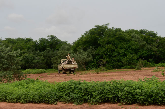 Niger security forces patrol in the Kouré Giraffe reserve on August 21, 2020. One of the most famous animal sanctuaries in the Sahel faces a troubled future after suspected jihadists murdered eight people, six of them young French aid workers. BOUREIMA HAMA / AFP