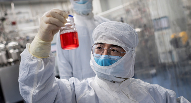 This file photo taken on April 29, 2020 shows an engineer looking at monkey kidney cells as he makes a test on an experimental vaccine for the Covid-19 coronavirus inside the Cells Culture Room laboratory at the Sinovac Biotech facilities in Beijing. Nicolas ASFOURI / AFP