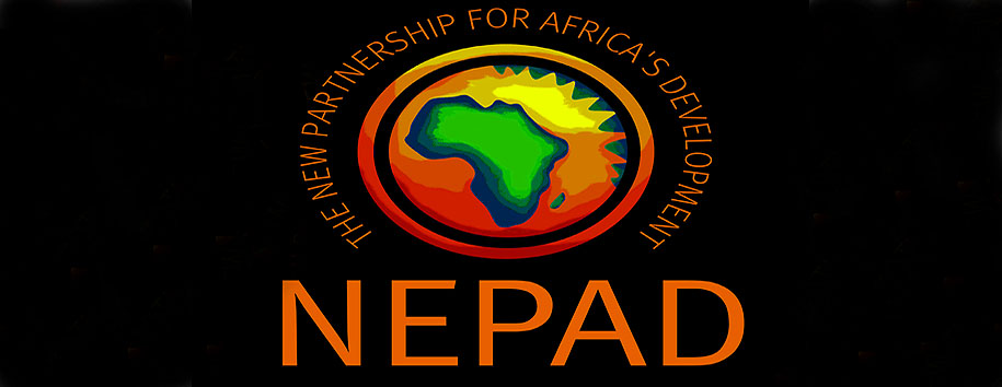 NEPAD Identifies benefits of Fuel Subsidy Removal
