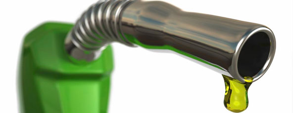 Campaign for Democracy on Fuel Subsidy Removal