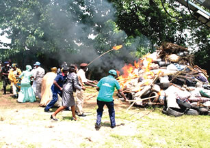 NDLEA destroys illicit drug in Kwara