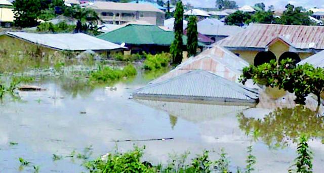 Image result for benue flood