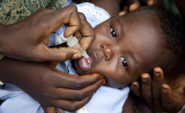 FG Debunk Claims Of Fake Polio Vaccine In The Country