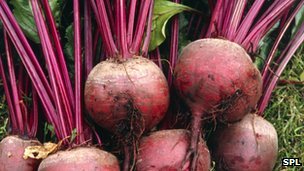 Beetroot ‘Can Lower Blood Pressure’