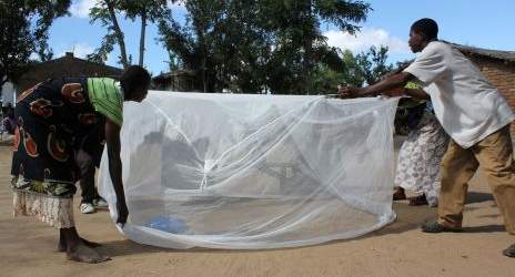 Osun To Distribute 1.6Million Malaria Nets