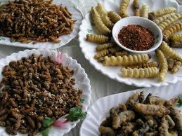 Eating Insects Could Help Fight Obesity Says UN