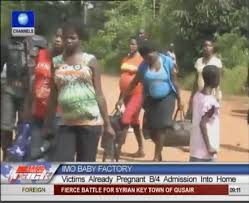 Police Uncovers Another Baby Factory In Imo