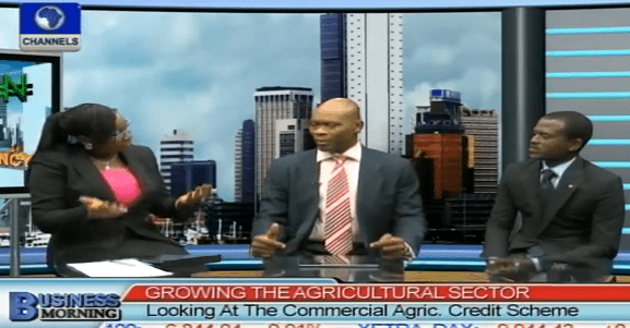 Analysts Raise Concerns Over CBN’s Commercial Agriculture Credit Scheme
