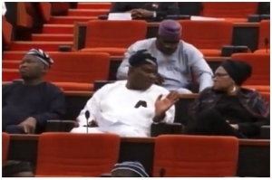 Nigeria-Senate
