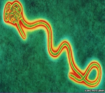 South African Quarantined In Nigeria Tests Negative For Ebola