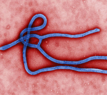 New York Records First Ebola Case