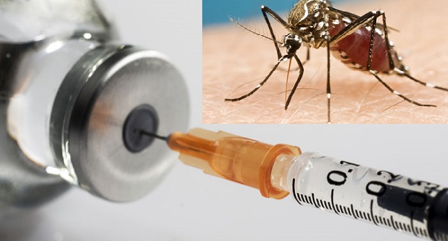 Three More African Nations Roll Out Malaria Vaccine