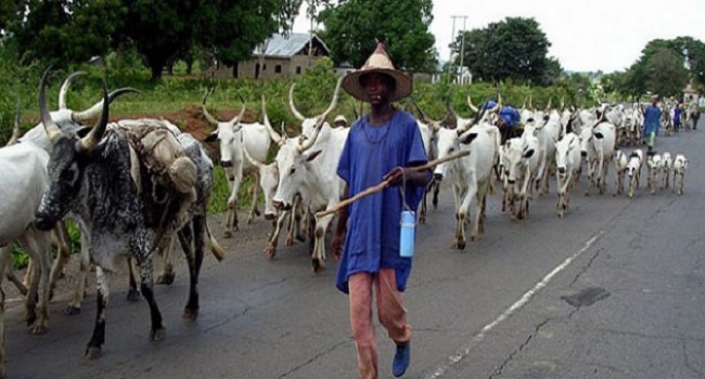 Consolidate Ban On Open Grazing With Legislation, Environmentalist Tells Dickson