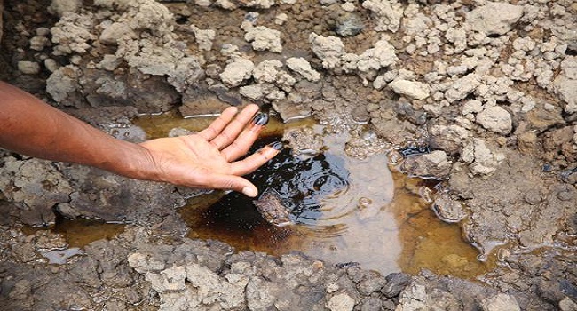 FG Commences Clean Up Of Ogoni Land