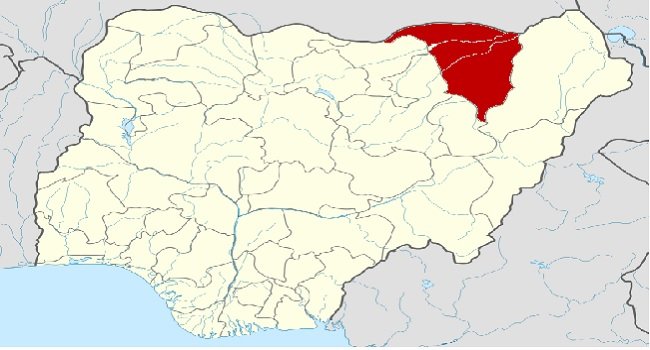 Scores Of Schoolgirls 'Missing' After Boko Haram Attack In Yobe