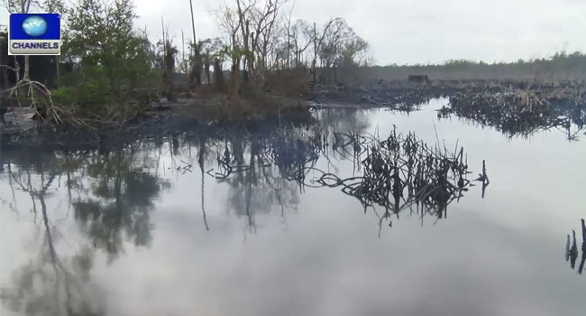 We Will Rebuild The Niger Delta, President Buhari Assures