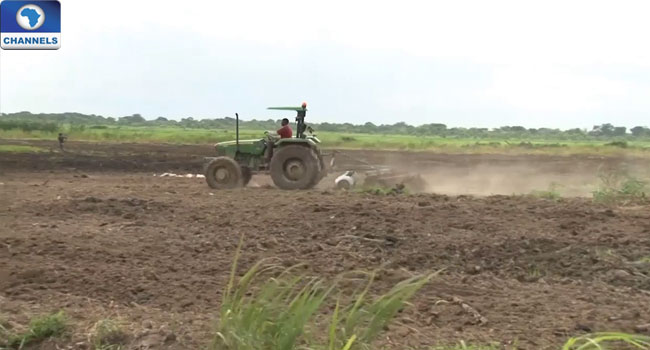 Nigeria And Niger Republic To Deepen Agricultural Cooperation