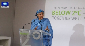 Amina-Mohammed