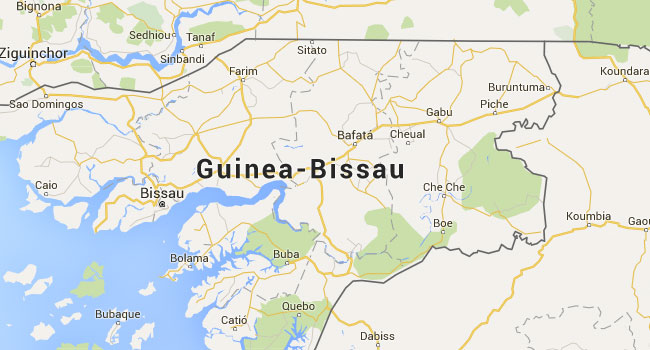 Guinea Bissau Names Fifth Prime Minister In One Year