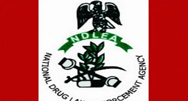 NDLEA Arrests 123 Suspected Drug Traffickers In Bayelsa