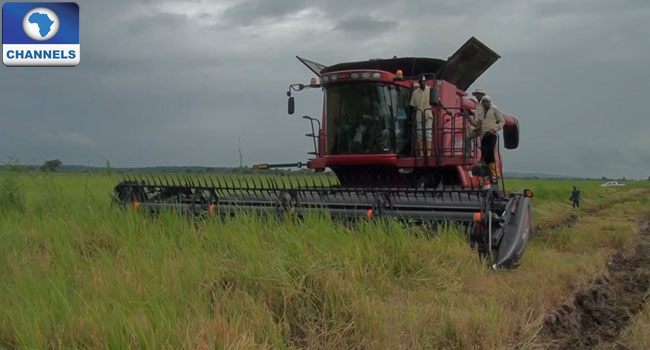 Nigerian Editors Seek Urgent Development Of Agribusiness