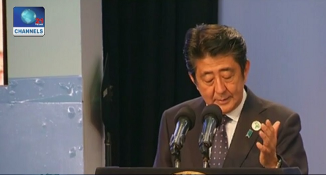 Japan Pledges $30bn To Africa