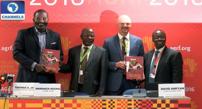 Alliance-for-a-Green-Revolution-in-Africa