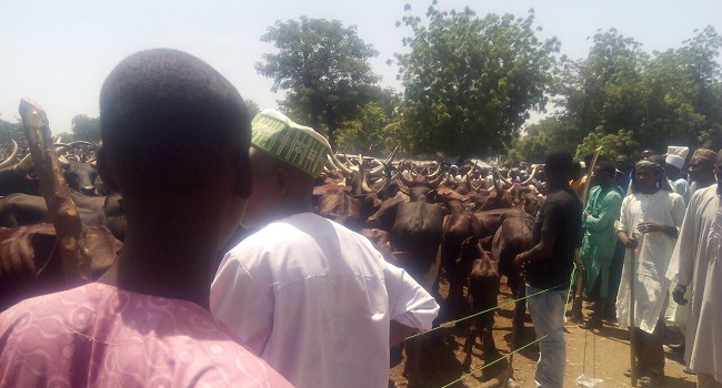 Troops Arrest Boko Haram Terrorists At  Borno Cattle Market