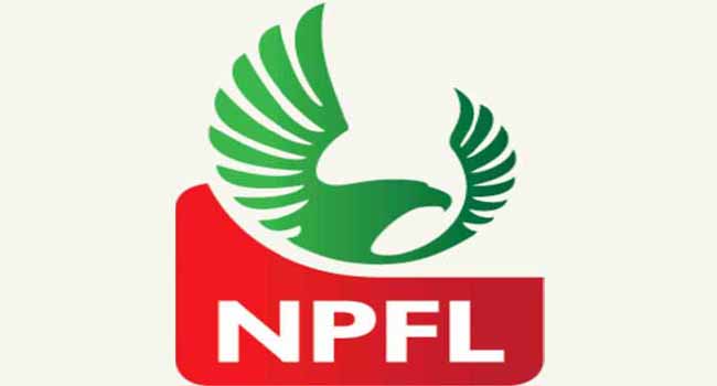 Yobe Desert Stars Promoted To NPFL