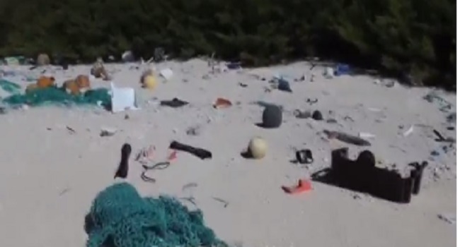 Remote Island Has World’s Highest Density Of Plastic Thrash – Study