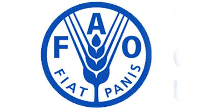 FAO Tracks Climate Smart Agricultural Practices In Northeast Nigeria