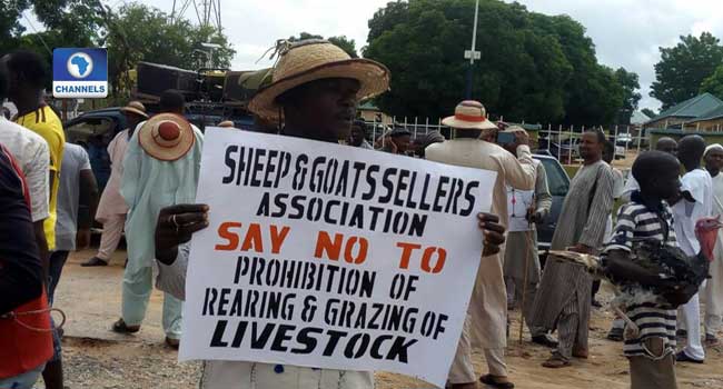 Herdsmen Protest Against Anti-Grazing Bill At Taraba Assembly