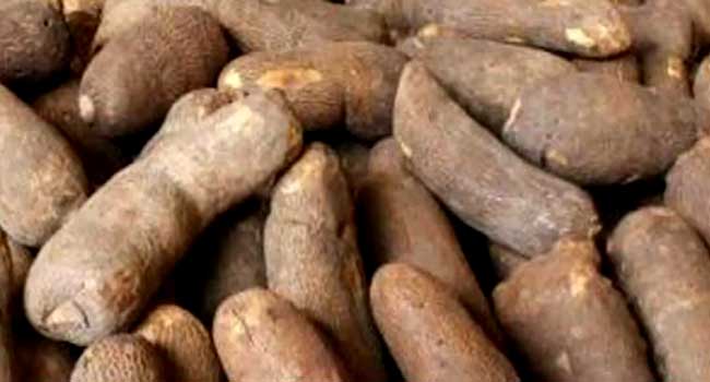 Agriculture Ministry To Investigate Export Of Poor Quality Yams To US