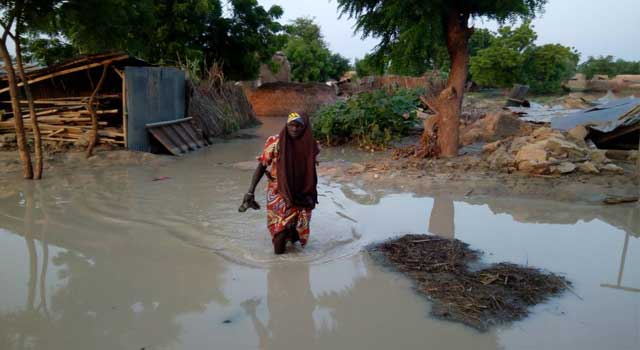 PHOTOS: Flood Wreaks Havoc In Yobe