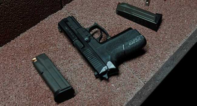 Handgun 'ER' Actress Waving BB Gun Fatally Shot By US Police • Channels Television