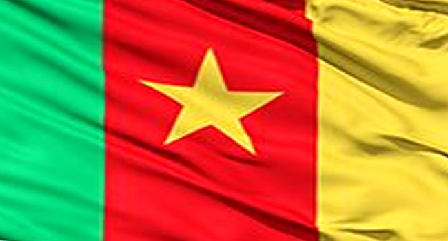 12 European Hostages Freed In Cameroon