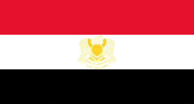 A file photo of the Egyptian national flag.