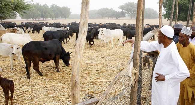 Buhari Shares Photos To Encourage Farmers