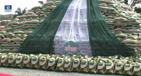 Gov Amosun Launches MITROS Ofada Rice