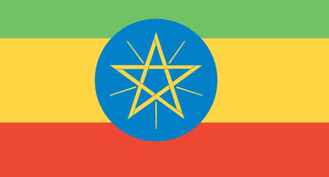 Ethiopia Pardons Top Rebel Leader