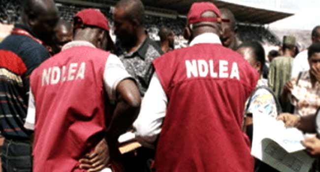 NDLEA Intercepts Drugs Meant For Boko Haram In Adamawa