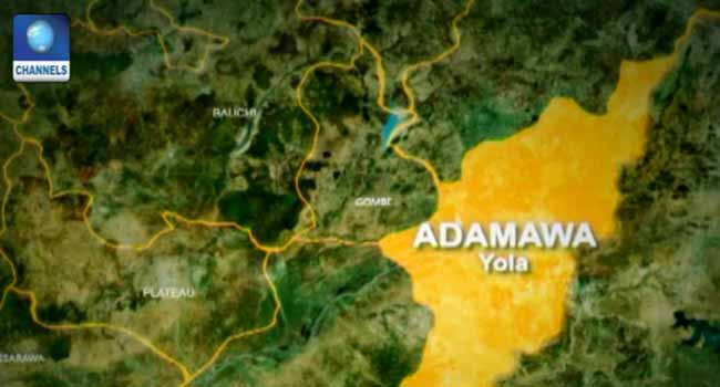 25 Feared Killed As Boko Haram Attacks Adamawa Village