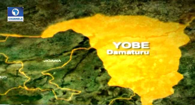 Yobe is situated in North-East Nigeria