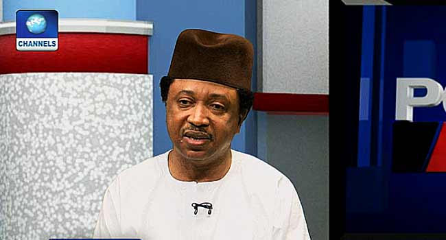 Shehu sani speaks on Abiola All Those Who Betrayed Abiola Should Also Apologise – Shehu Sani • Channels Television