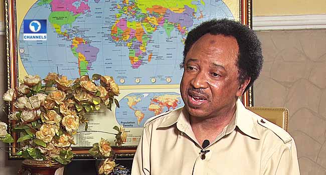 No APC Congresses Were Held In Kaduna State, Shehu Sani Insists