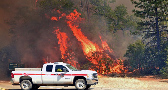 Flames engulf trees near a road during the Carr fire in Redding, California on July 27, 2018. Two firefighters have died and more than 100 homes have burned as wind-whipped flames tore through the region.<br /> JOSH EDELSON / AFP