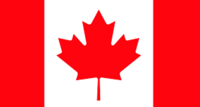 A picture of the Canadian flag used to illustrate the story.