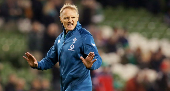 Schmidt To Step Down As Ireland Coach