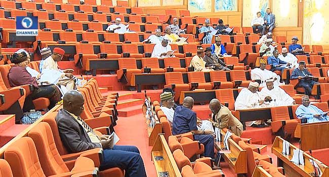 Senate In Rowdy Session Over Motion On Social Intervention Programme